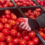 Precio de los tomates en EE.UU. alcanzó los niveles más altos en ocho años, según datos de BLS