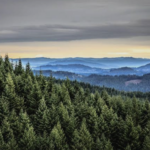 Los bosques de Oregón enfrentan otro año difícil ante la inminencia de un verano caluroso y seco