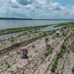 Qué saber sobre los pronósticos de que el fenómeno de El Niño de este año podría batir récords