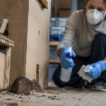 ¿Puede el hantavirus propagarse en EE.UU.? Lo que debe preocuparte y lo que no, según los CDC