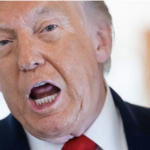 “Usted es corrupta o estúpida”. Trump vuelve a insultar a una mujer periodista
