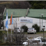 Argentina halla hantavirus en Tierra del Fuego sin nexo con brote del crucero ‘Hondius’