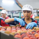 La economía latina en EE.UU. ya vale $4.4 billones: sería la 4ta más grande del mundo