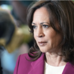 Harris pide una investigación “inmediata” sobre el asesinato del mexicano a manos de ICE