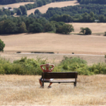 Un julio de calor récord en regiones donde viven 900 millones de personas