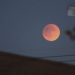 Cómo ver esta noche el eclipse que cubrirá el 96 % de la Luna