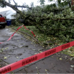 Cortes de electricidad y caída de árboles en el noroeste de Oregón y el suroeste de Washington durante una mañana de viernes lluviosa y ventosa